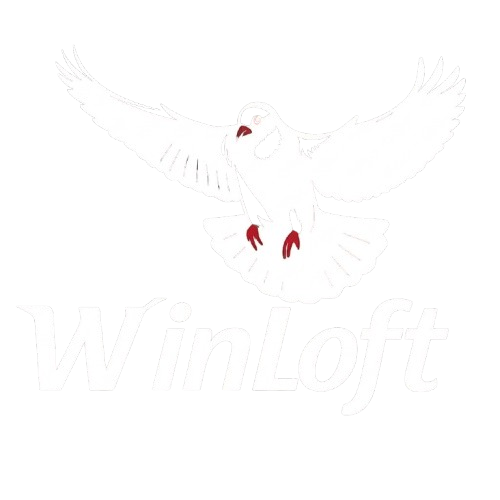 WinLoft Logo